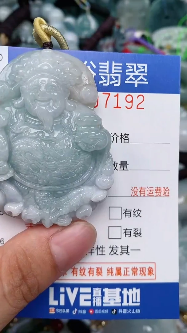 翡翠未镶嵌颈饰...0007192