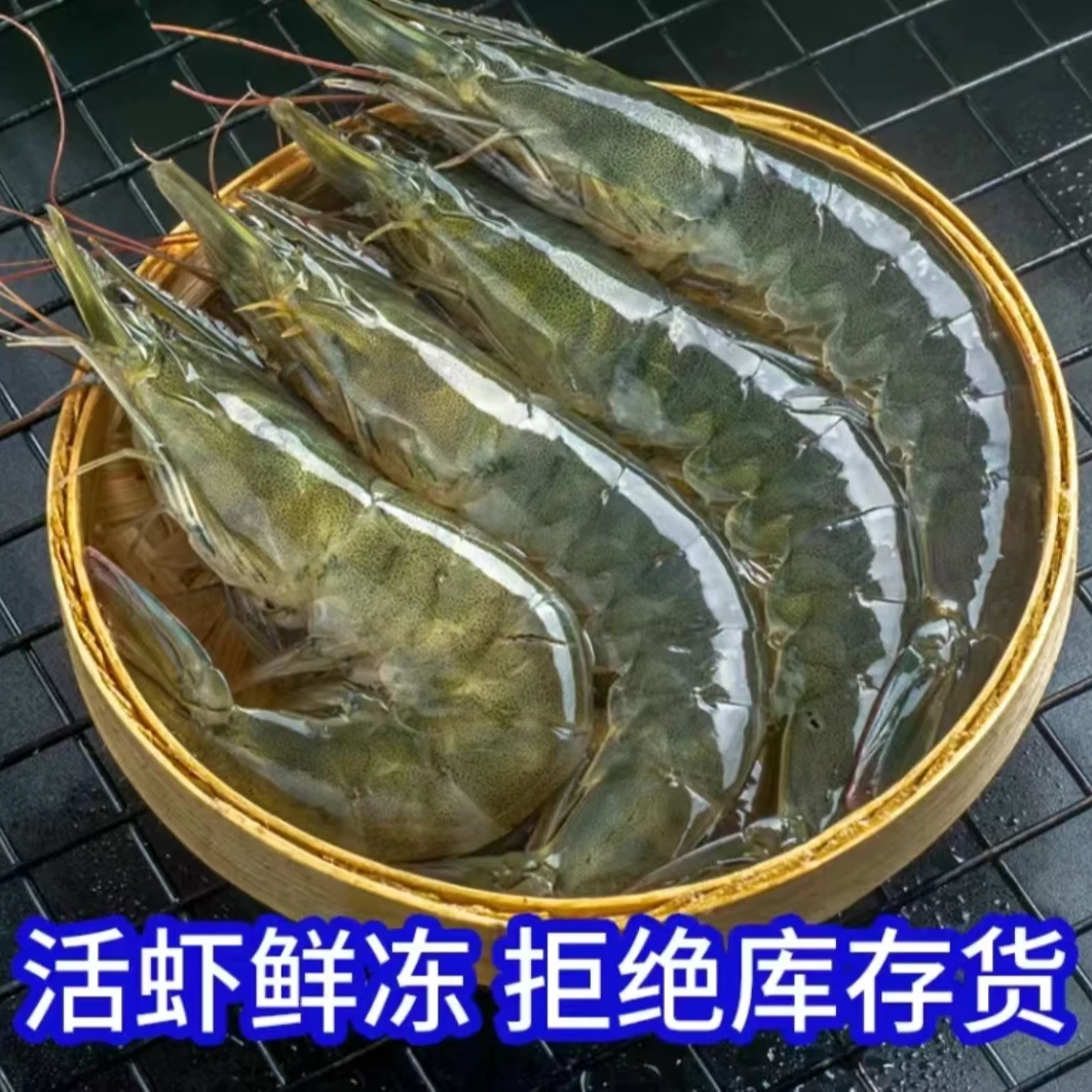 【茜】海洋大虾2030规格 15-18厘米/只 40-45只 到手3斤 冷链发货