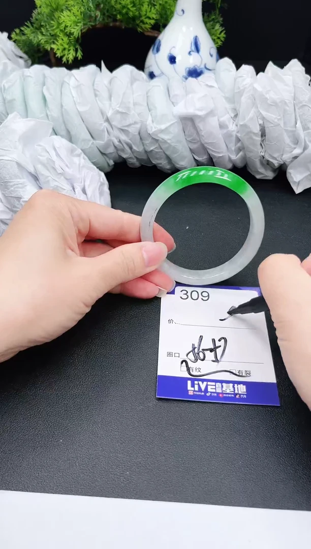 未镶嵌手镯翡翠韵*309