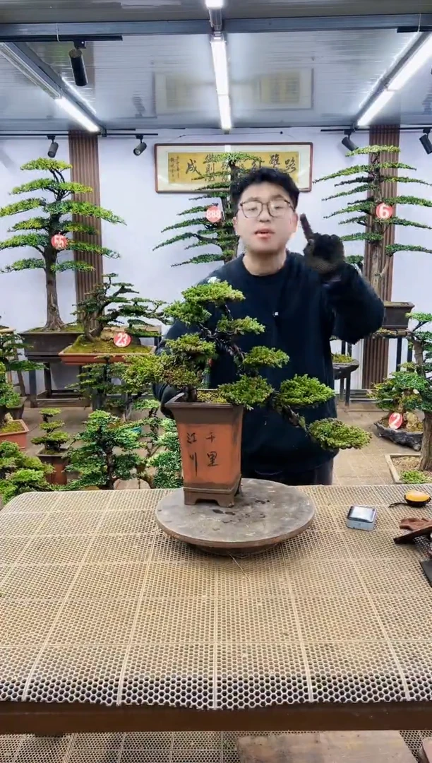 【闪购商品】一物一拍，所见即所得