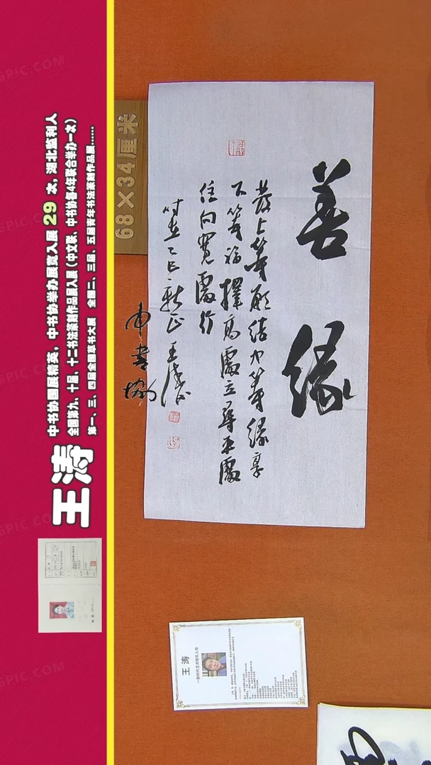 【闪购商品】书法100王涛书法作品