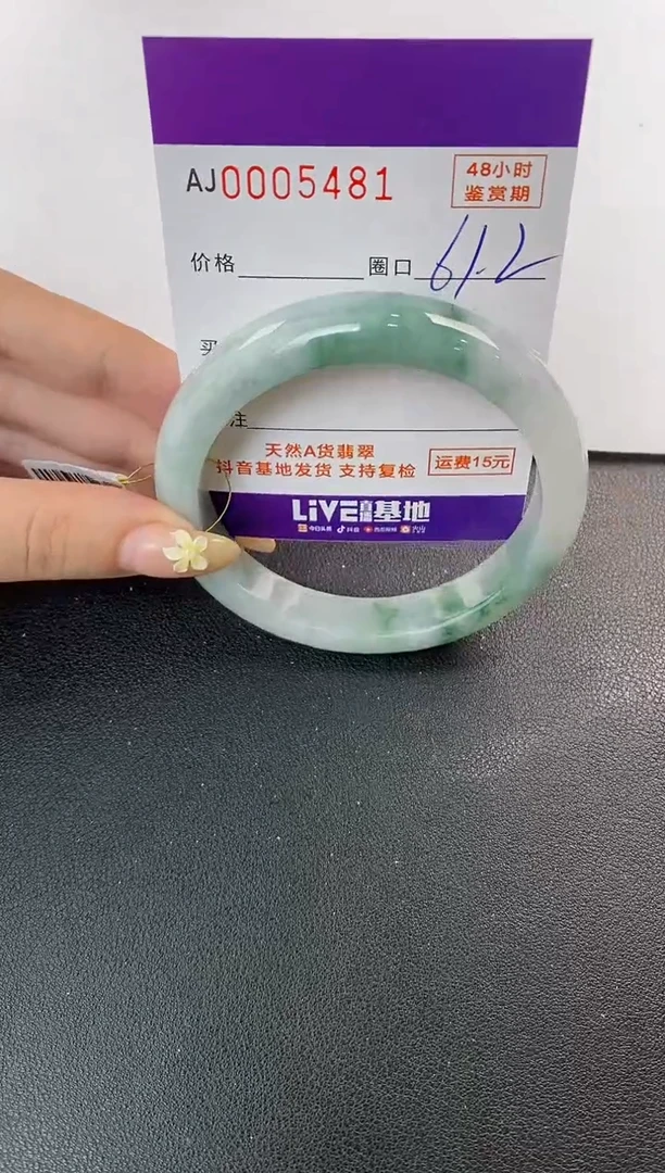 未镶嵌手镯翡翠天然A货翡翠