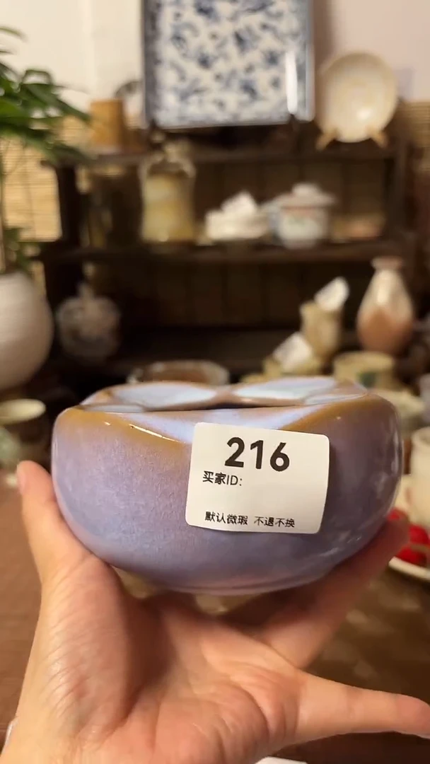 【闪购商品】瓷片喵喵家都是大漂亮