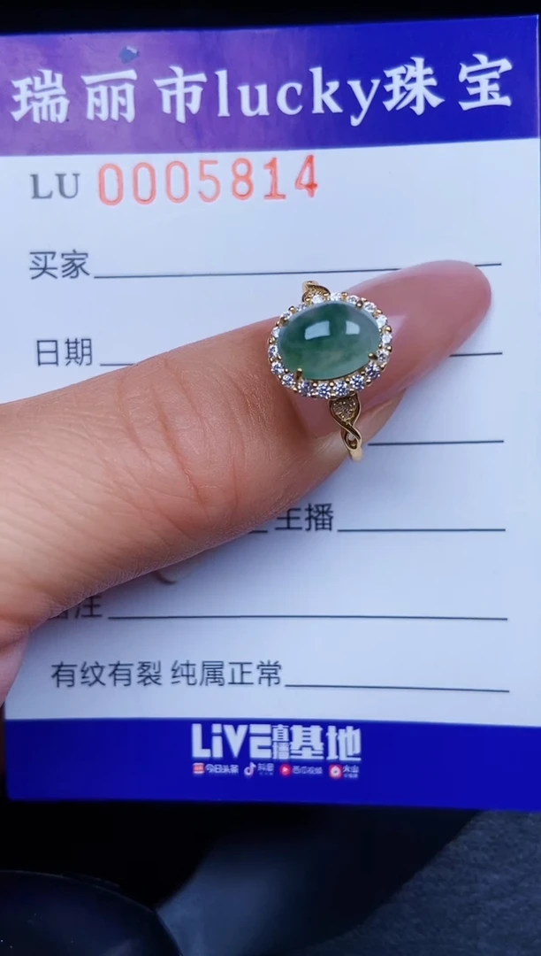 翡翠银S925镶嵌颈饰5814