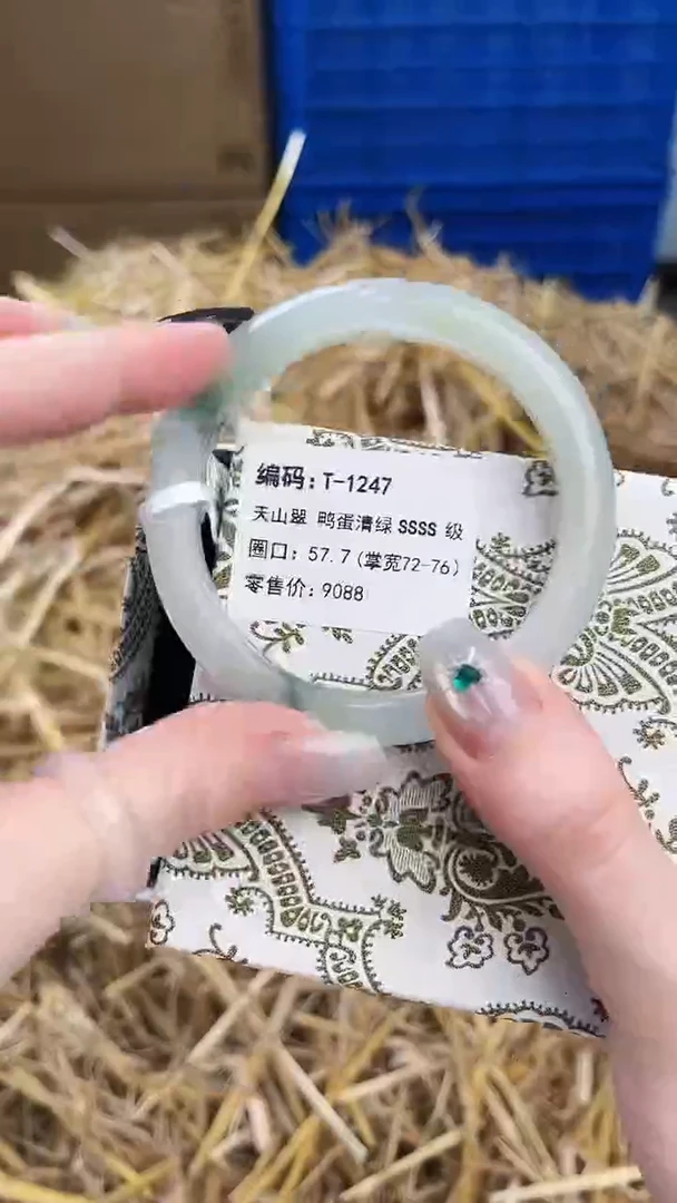 未镶嵌手镯石英质玉T-1247