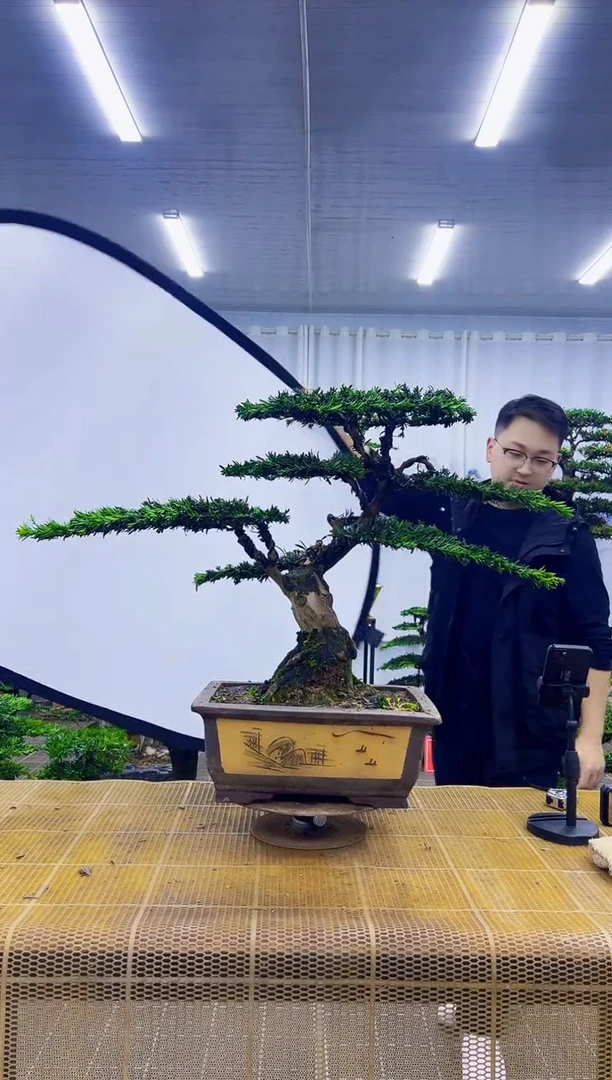 无花朵世**僧0000000000000000