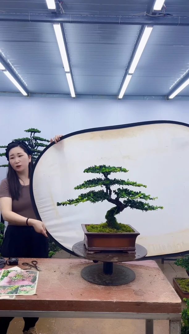 无花朵一物一拍，所见即所得