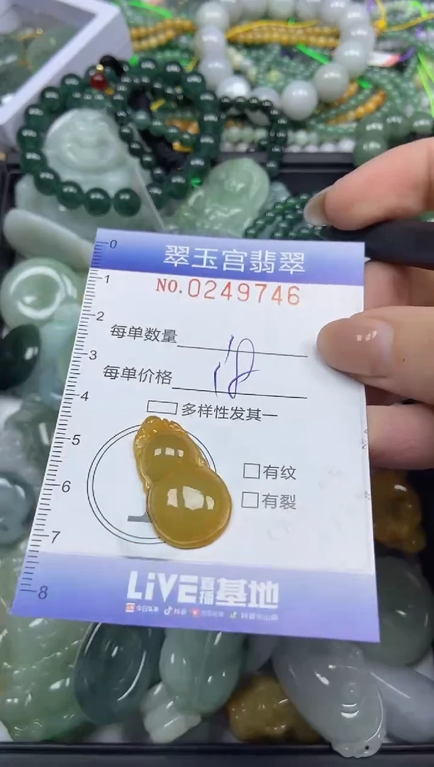 颈饰未镶嵌翡翠闪购C0249746