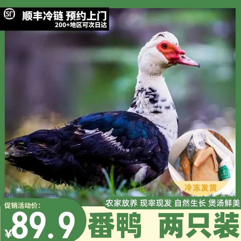 【到手两只】农家山塘放养土番鸭L 2只净膛9-10斤 青年鸭无瘤 顺丰冷链直达