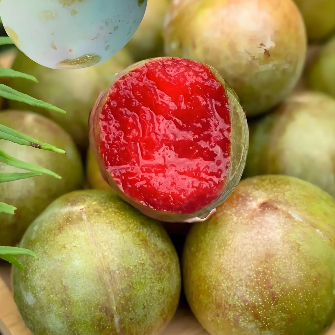 【一斤】味帝李 李子 青皮红肉 一口难忘（天山雪水浇灌的新疆味帝李）李子同城送
