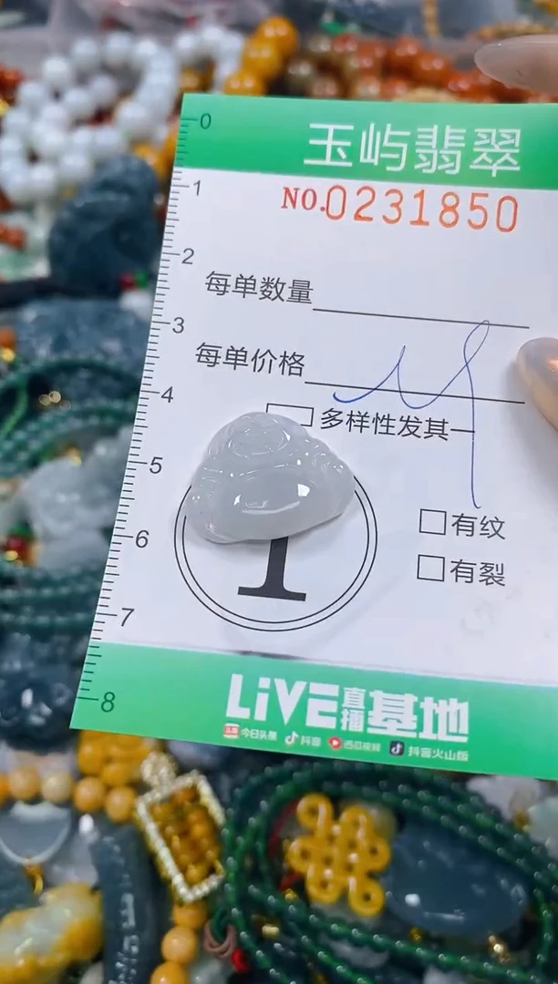 颈饰未镶嵌翡翠闪购0231850