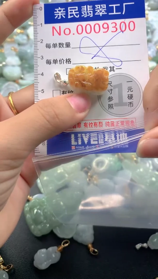 颈饰未镶嵌翡翠9300