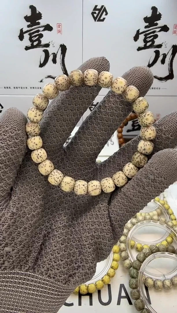 手串星月菩提9/8 骨瓷白 玉化 眼留白+侧留白 同枝果 C23