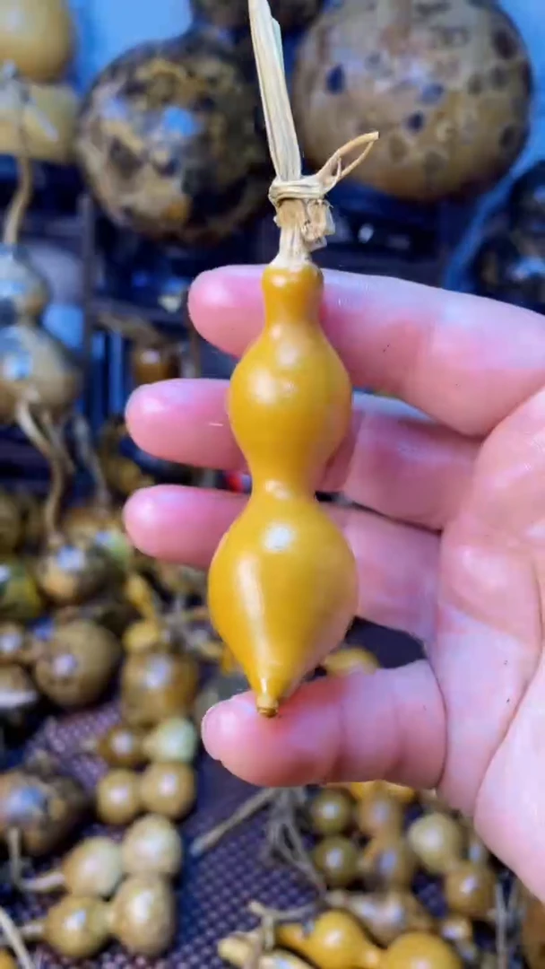 【闪购商品】葫芦葫芦葫芦葫芦葫芦