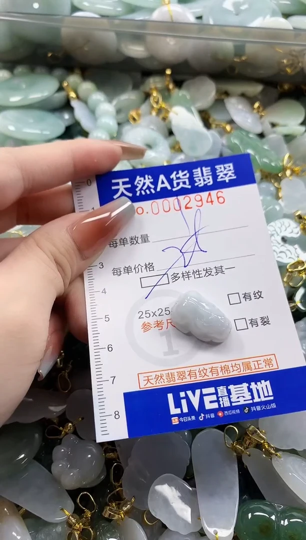 颈饰未镶嵌翡翠天然A货翡翠