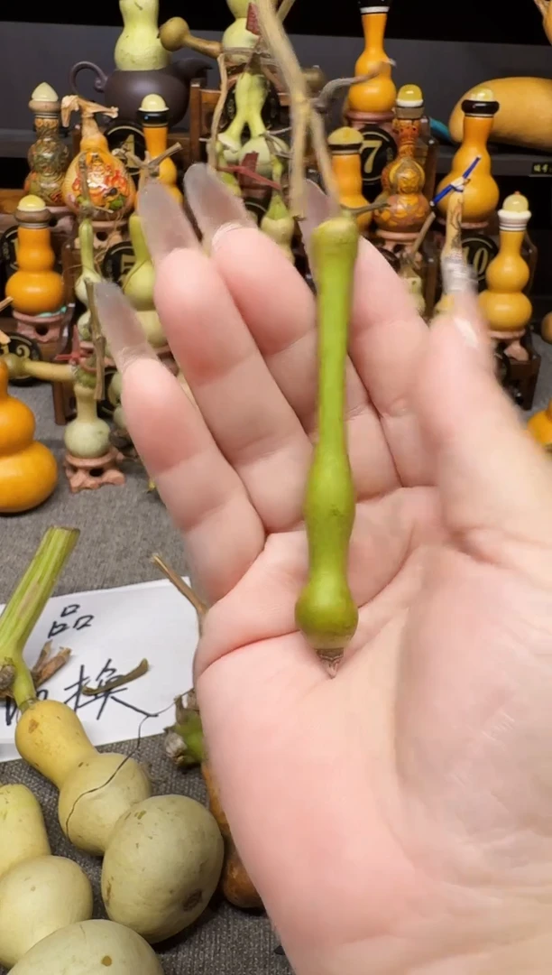 大*高端葫芦高端客户