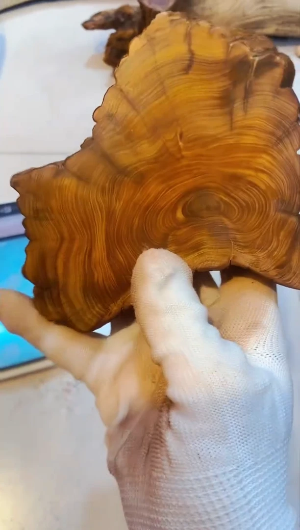 柏木（崖柏）1太行崖柏陈化手把手串