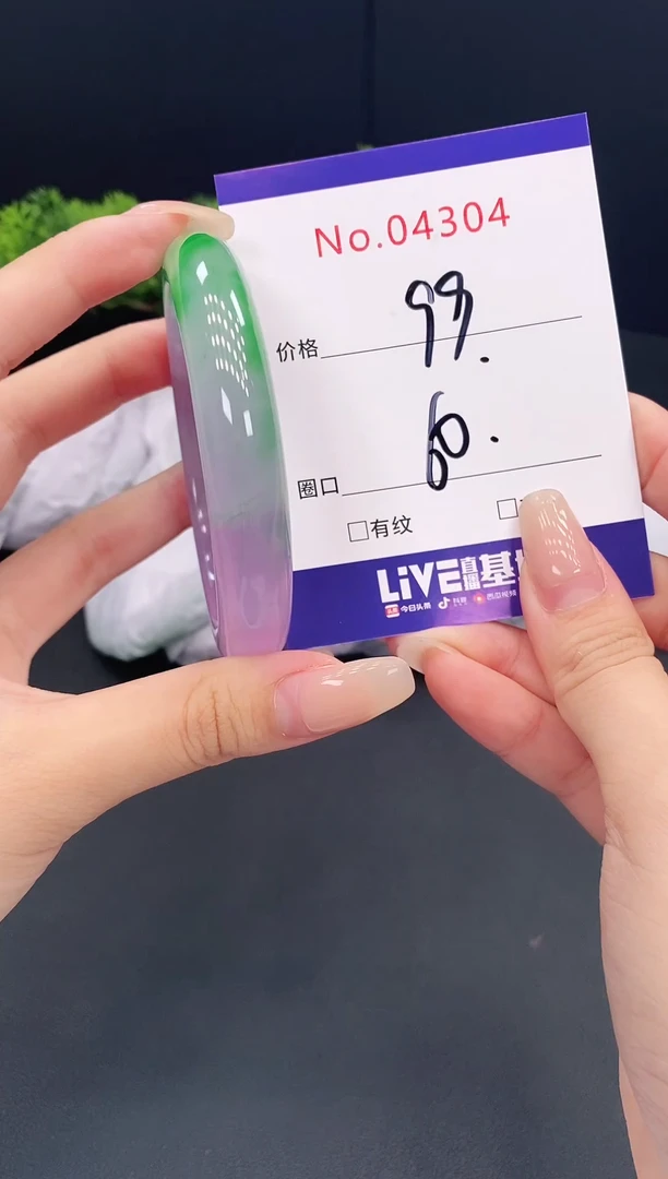 未镶嵌手镯翡翠4304