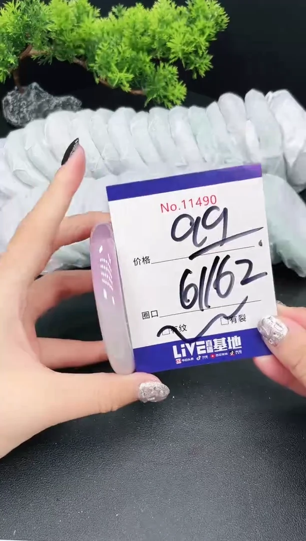 未镶嵌手镯翡翠11490