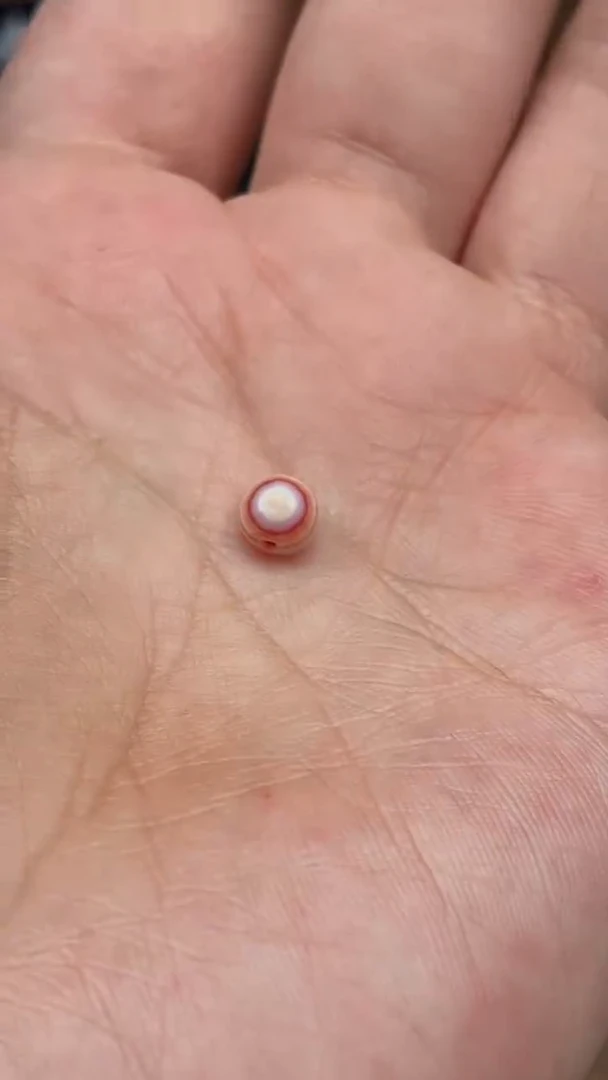 未镶嵌颈饰玛瑙/玉髓【肖钟出品】东南亚配珠