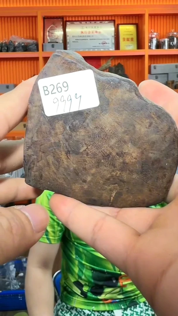 沉香手把件483号178g多样性发一