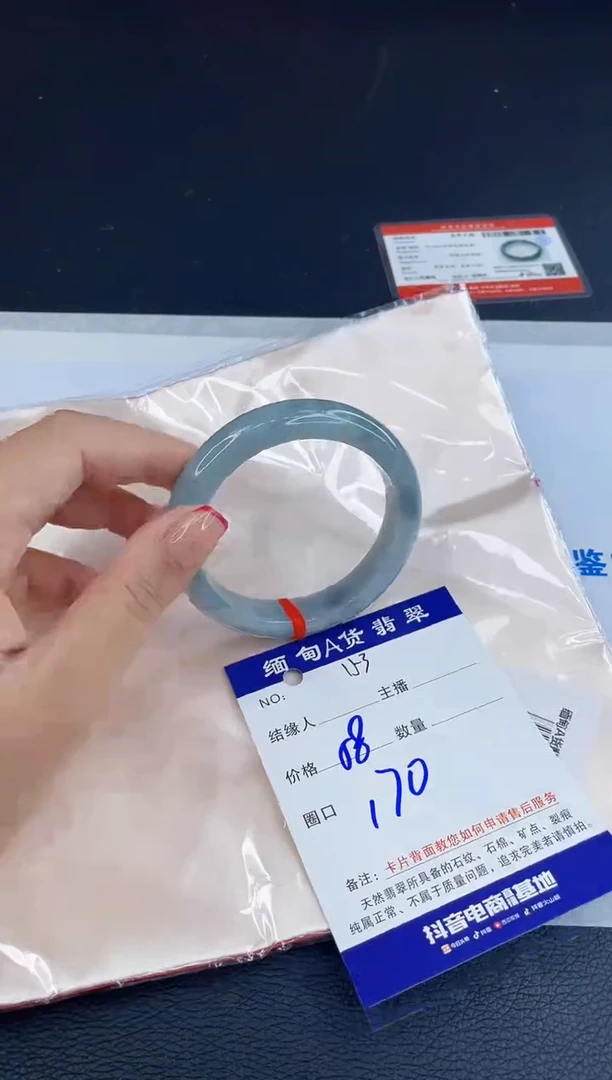未镶嵌手镯翡翠1111111