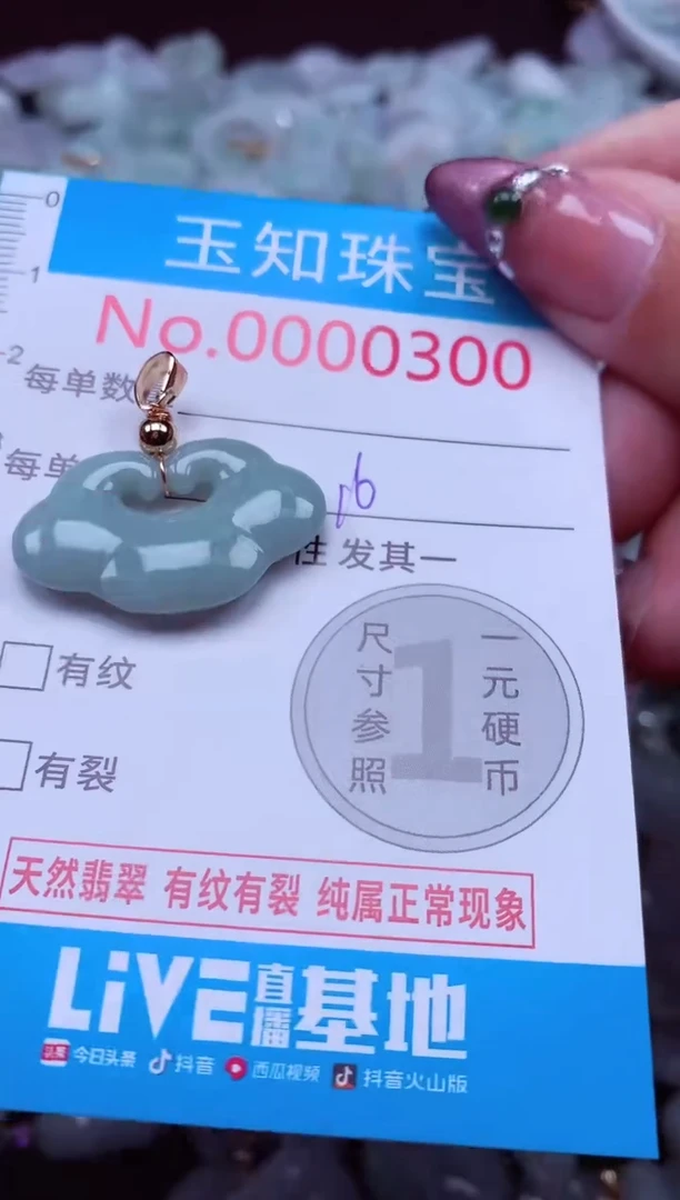 吊坠(不含链)未镶嵌翡翠300