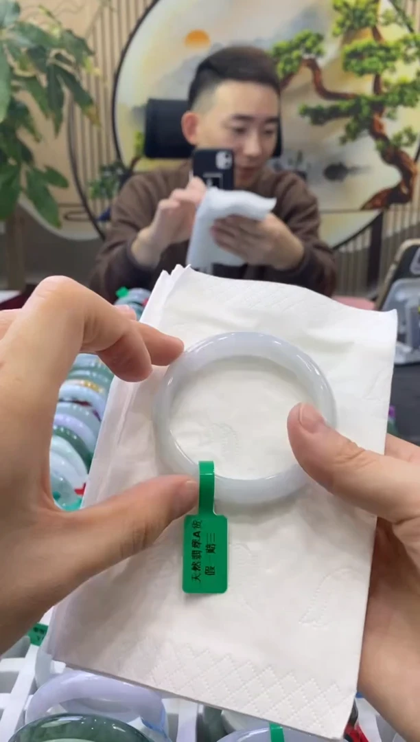 未镶嵌手镯翡翠4600