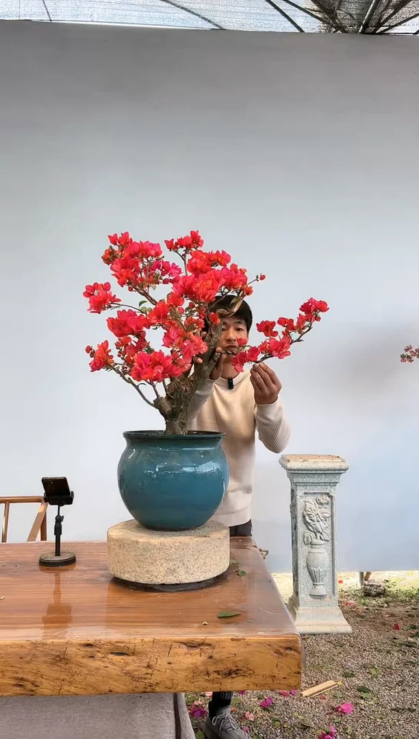 【闪购商品】AA925