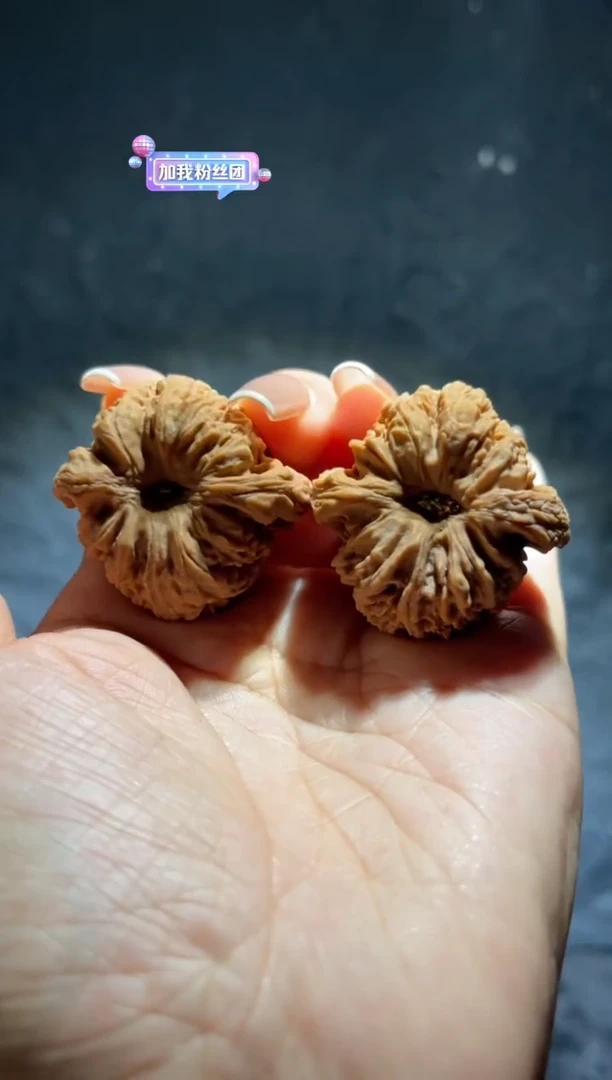 吊坠文玩核桃大*蜂南将