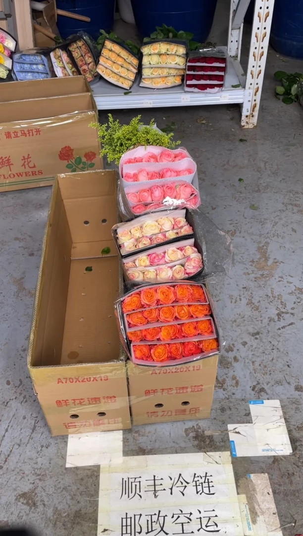 火灵鸟20枝+霓裳20枝+戴安娜20枝+黄莺