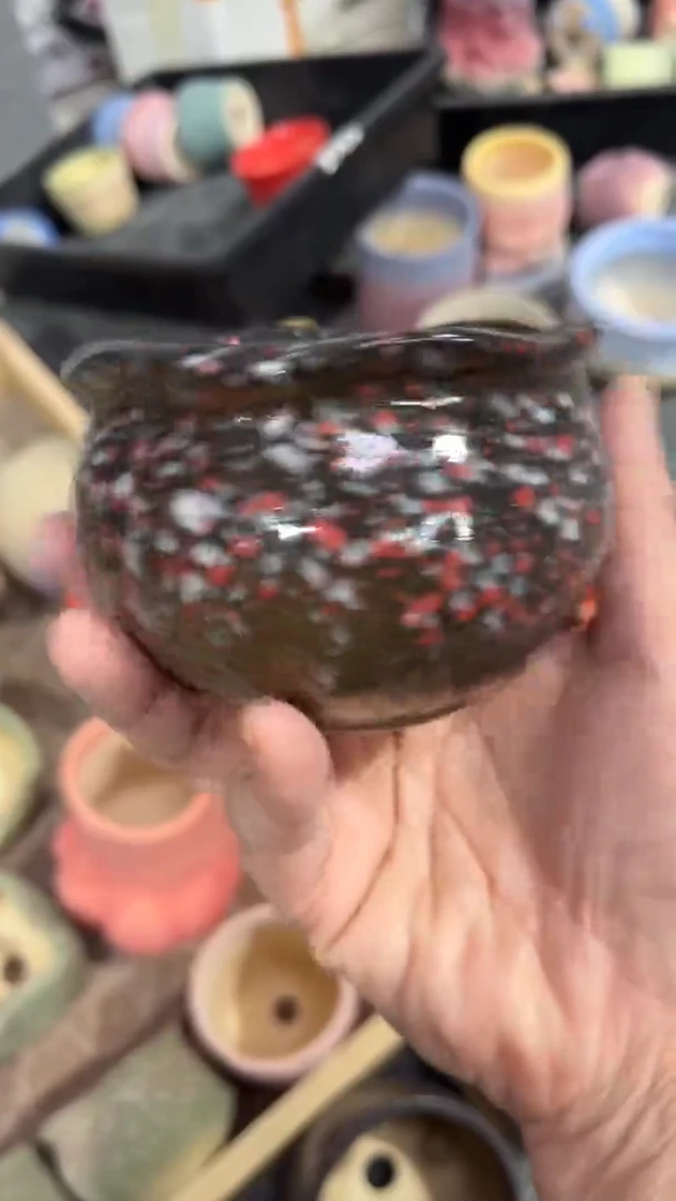 【闪购商品】红陶8*6
