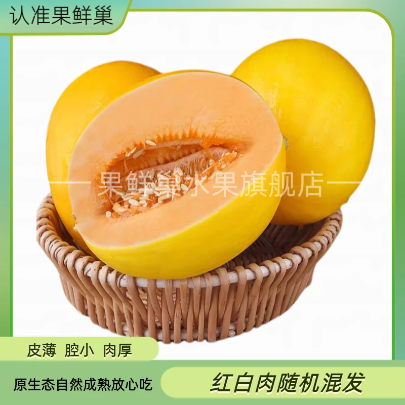 果鲜巢陕西黄金蜜瓜脆甜多汁头茬金红脆蜜瓜香瓜哈密瓜新鲜水果