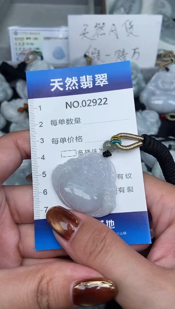 颈饰未镶嵌翡翠纯天然A货翡翠2922