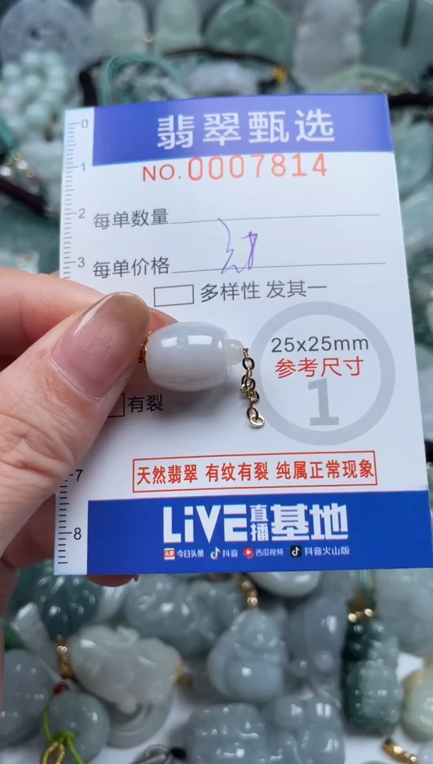 翡翠未镶嵌颈饰00..7814