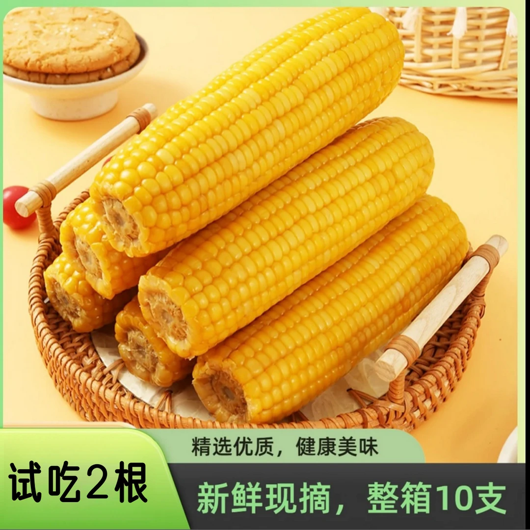 【试吃2根】东北软糯香甜黄糯玉米10根整箱真空包装