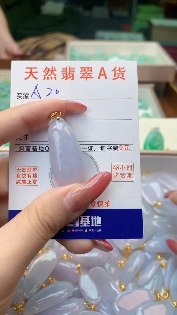 颈饰未镶嵌翡翠天然A货翡翠挂件