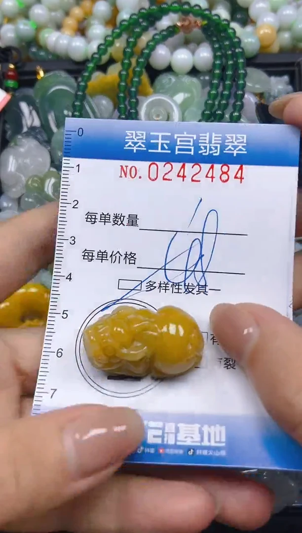 颈饰未镶嵌翡翠闪购C0242484多样性发其一