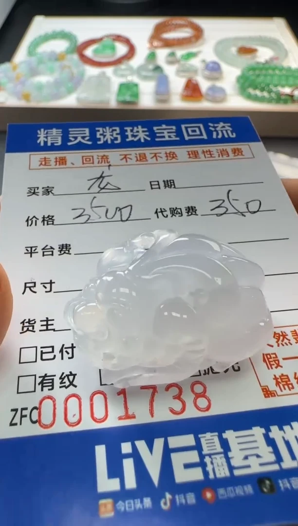 【闪购商品】翡翠颈饰未镶嵌不退不换 无鉴赏期