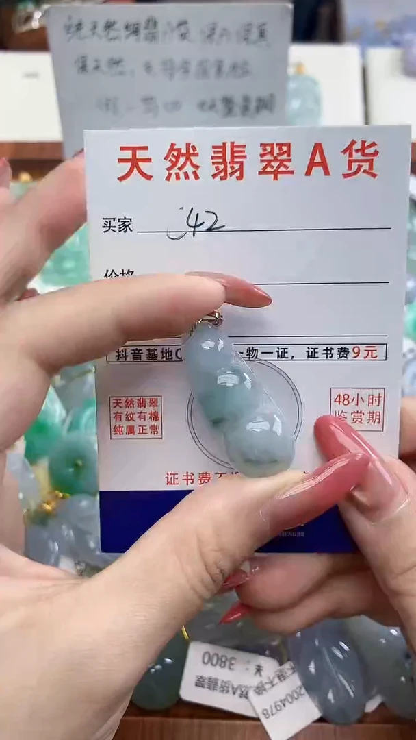 颈饰未镶嵌翡翠天然A货翡翠挂件