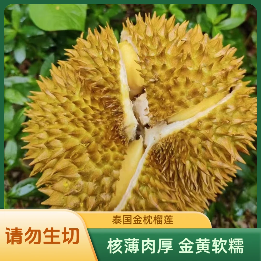 老王专属【一物一拍 ①号称】泰国进口新鲜金枕榴莲整颗带壳请勿生切