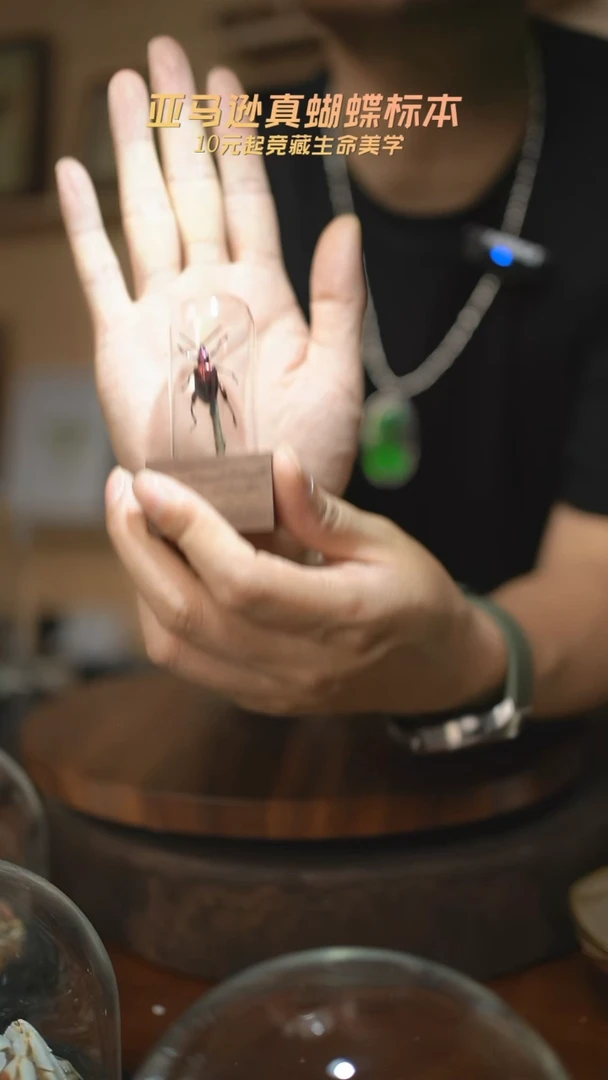 紫茎甲胡桃木试管款