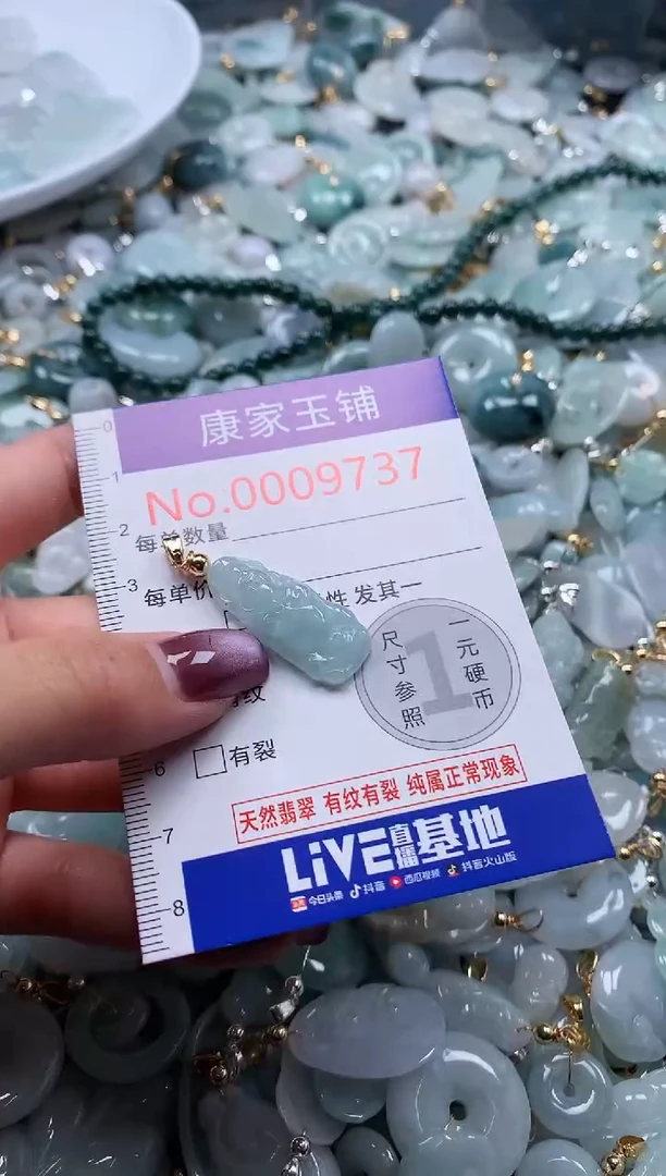 翡翠未镶嵌吊坠(不含链)9737
