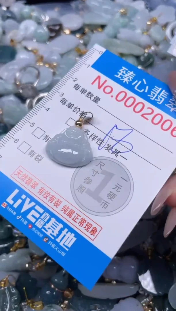 颈饰未镶嵌翡翠2006