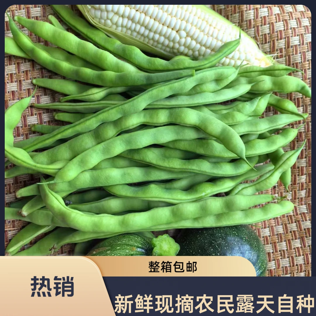 【顺丰包邮】贵州农家新鲜露天四季豆棒豆小瓜黄糯玉米现摘现发