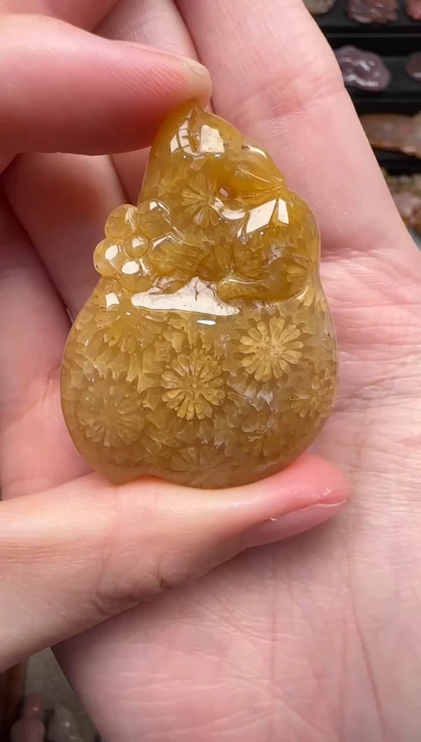 颈饰未镶嵌硅化珊瑚（珊瑚玉）848