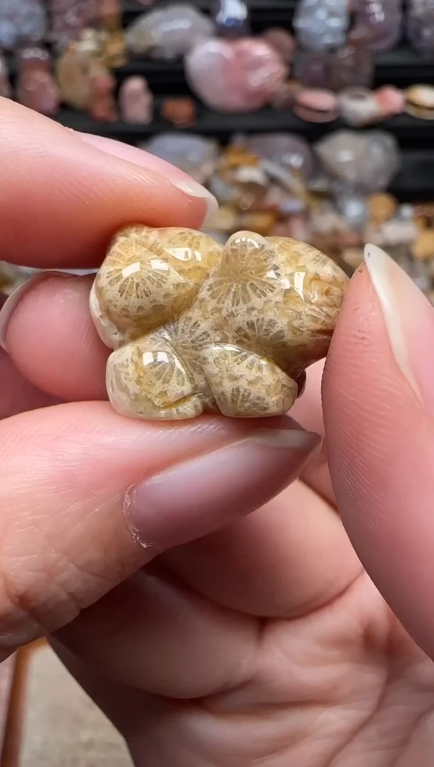 颈饰未镶嵌硅化珊瑚（珊瑚玉）780