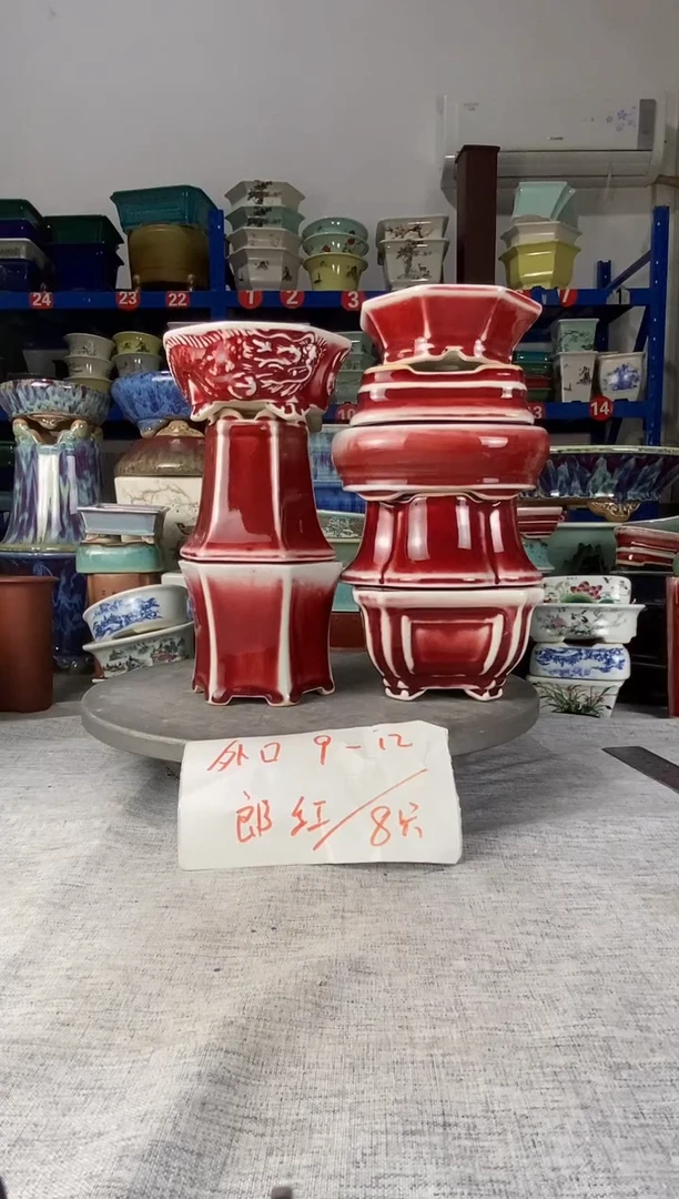 252707八只郎红花盆