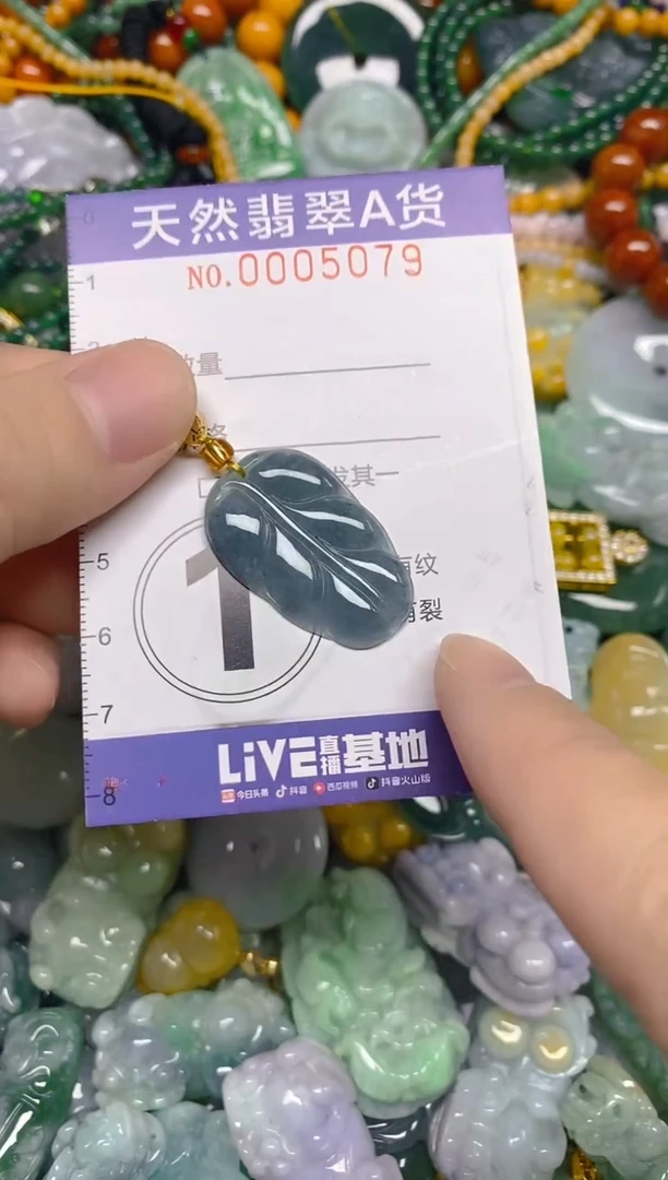 颈饰未镶嵌翡翠0005079