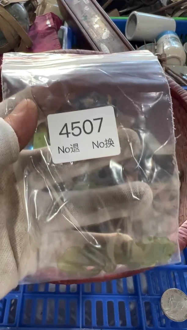 罐青***画88886666202509254507